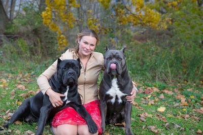 Photo Gallery Casanova Cane Corso Temperament Health Conformation