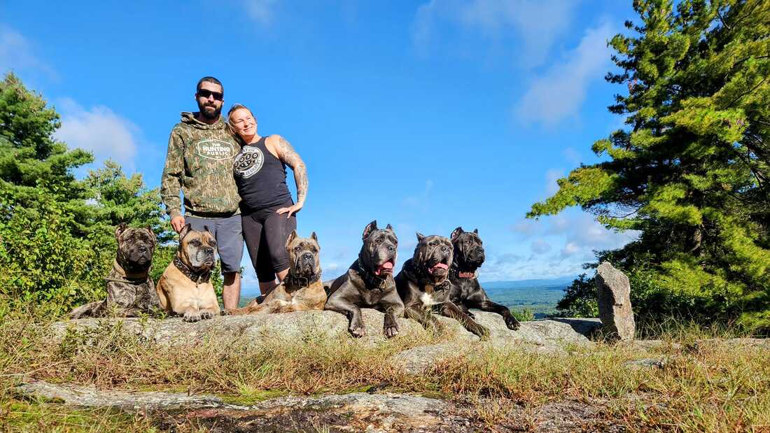 Casanova cane shop corso